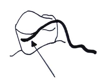 Ilustracja do pytania 28