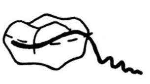 Ilustracja do odpowiedzi D