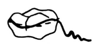 Ilustracja do odpowiedzi A