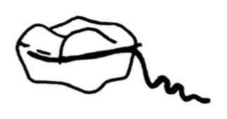 Ilustracja do odpowiedzi C