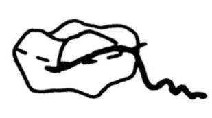 Ilustracja do odpowiedzi B