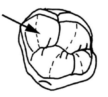 Ilustracja do pytania 39