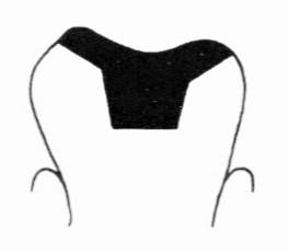 Ilustracja do odpowiedzi D