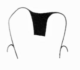 Ilustracja do odpowiedzi C