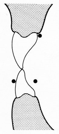 Ilustracja do pytania 35