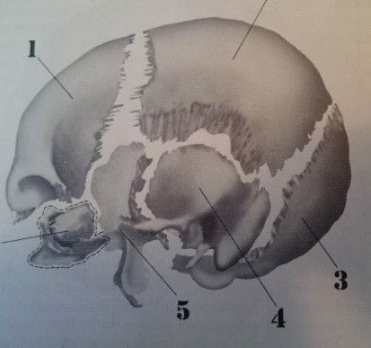 Ilustracja do pytania 7