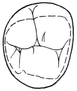 Ilustracja do odpowiedzi C