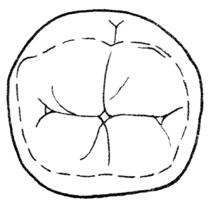 Ilustracja do odpowiedzi A