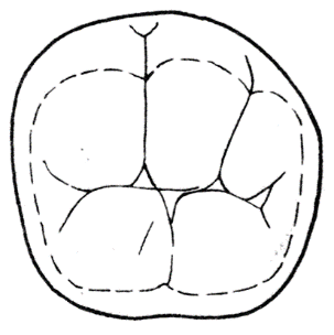 Ilustracja do odpowiedzi B