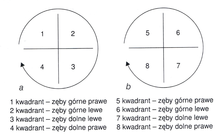 Ilustracja do pytania 26