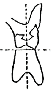 Ilustracja do odpowiedzi B