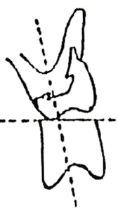 Ilustracja do odpowiedzi D