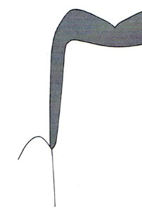 Ilustracja do odpowiedzi B