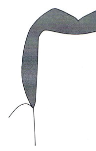 Ilustracja do odpowiedzi D