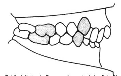 Ilustracja do pytania 37