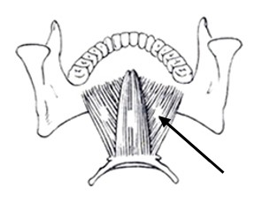 Ilustracja do pytania 8