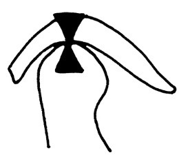 Ilustracja do odpowiedzi A