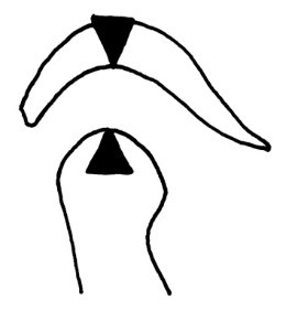 Ilustracja do odpowiedzi D