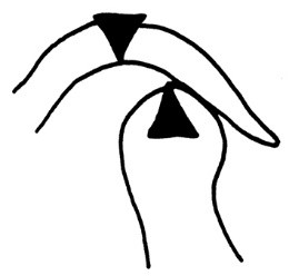 Ilustracja do odpowiedzi B