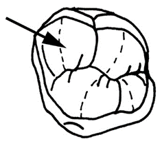 Ilustracja do pytania 14