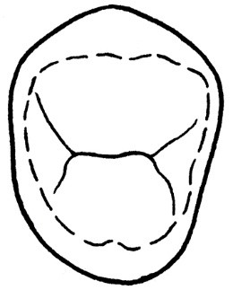 Ilustracja do odpowiedzi C