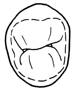 Ilustracja do odpowiedzi D