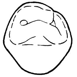 Ilustracja do odpowiedzi A