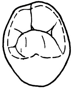 Ilustracja do odpowiedzi B