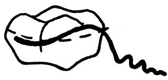 Ilustracja do odpowiedzi B