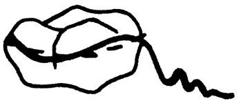 Ilustracja do odpowiedzi A