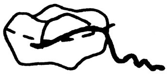 Ilustracja do odpowiedzi C