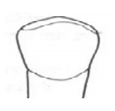 Ilustracja do odpowiedzi A