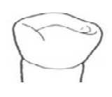 Ilustracja do odpowiedzi D