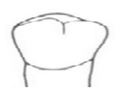 Ilustracja do odpowiedzi B