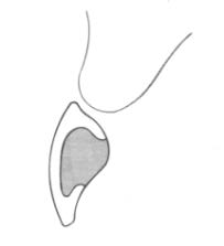 Ilustracja do odpowiedzi B