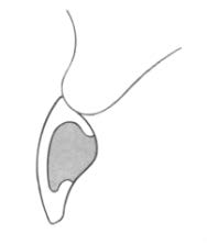 Ilustracja do odpowiedzi C