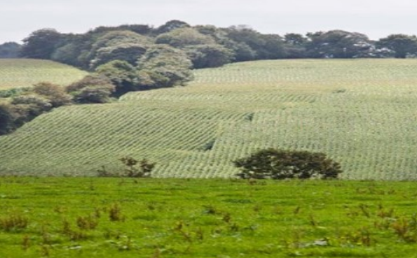 Ilustracja do odpowiedzi B