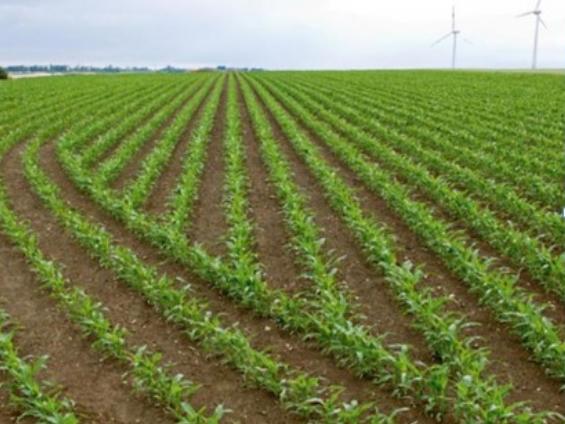 Ilustracja do odpowiedzi C