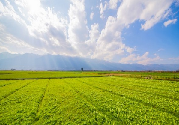 Ilustracja do odpowiedzi A