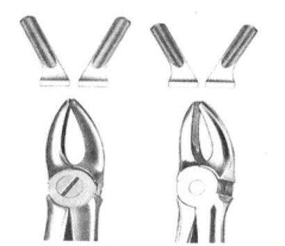 Ilustracja do pytania