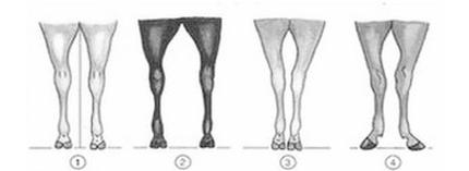 Ilustracja do pytania