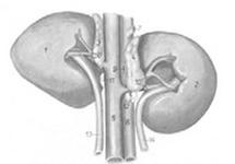 Ilustracja do pytania