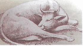 Ilustracja do pytania