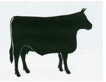 Ilustracja do pytania 11