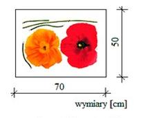 Ilustracja do pytania