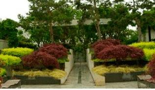 Ilustracja do pytania