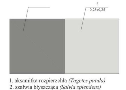 Ilustracja do pytania