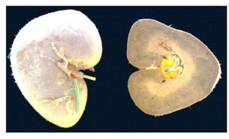 Ilustracja do pytania