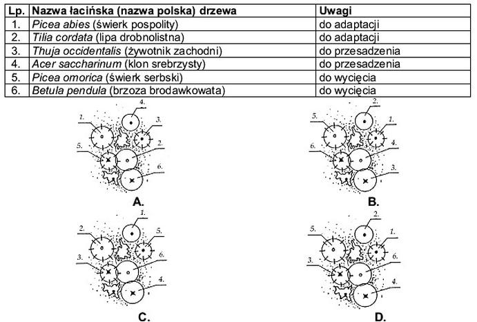 Ilustracja do pytania