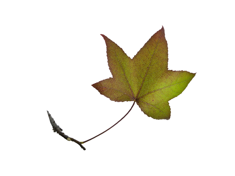 Ilustracja do pytania